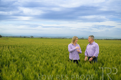 October 2022 / KANGAROO-FLAT-0912