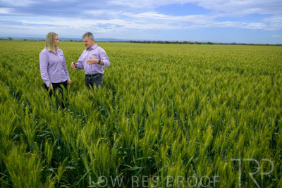 October 2022 / KANGAROO-FLAT-0925