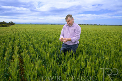 October 2022 / KANGAROO-FLAT-0938