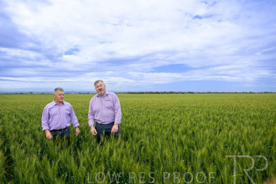 October 2022 / KANGAROO-FLAT-0951