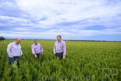 October 2022 / KANGAROO-FLAT-0952