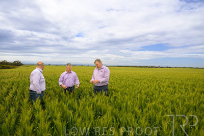 October 2022 / KANGAROO-FLAT-0954