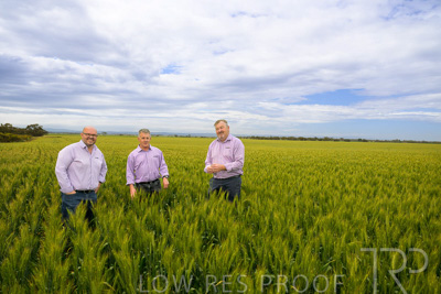 October 2022 / KANGAROO-FLAT-0955