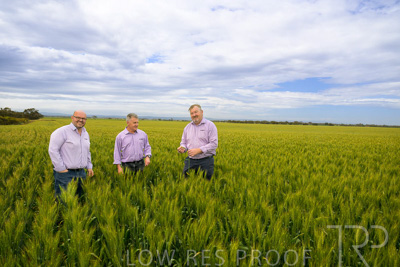 October 2022 / KANGAROO-FLAT-0956