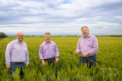 October 2022 / KANGAROO-FLAT-0959