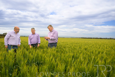 October 2022 / KANGAROO-FLAT-0960