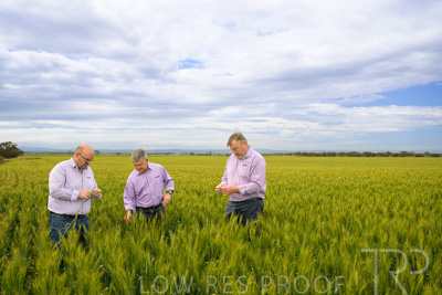 October 2022 / KANGAROO-FLAT-0961