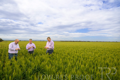 October 2022 / KANGAROO-FLAT-0962