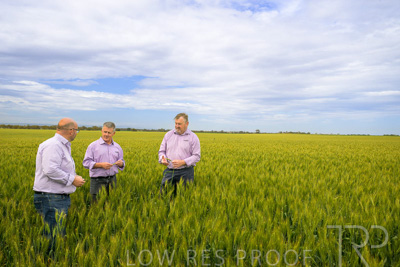 October 2022 / KANGAROO-FLAT-0966