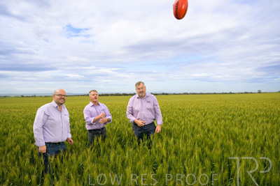 October 2022 / KANGAROO-FLAT-0971