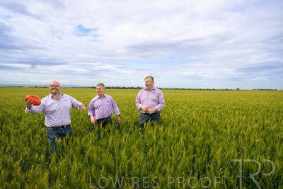 October 2022 / KANGAROO-FLAT-0972