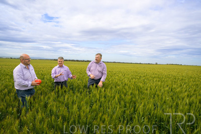 October 2022 / KANGAROO-FLAT-0973