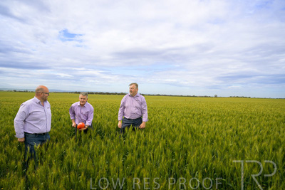 October 2022 / KANGAROO-FLAT-0976