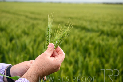 October 2022 / KANGAROO-FLAT-0978