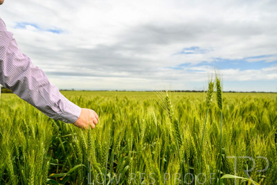 October 2022 / KANGAROO-FLAT-1004