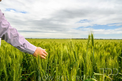 October 2022 / KANGAROO-FLAT-1006