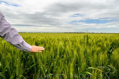 October 2022 / KANGAROO-FLAT-1009