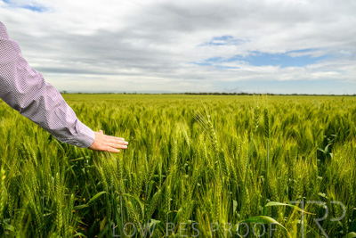 October 2022 / KANGAROO-FLAT-1010