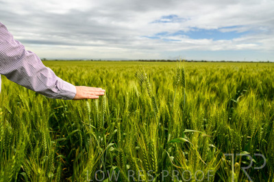 October 2022 / KANGAROO-FLAT-1014