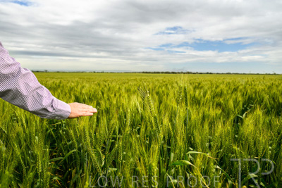 October 2022 / KANGAROO-FLAT-1015