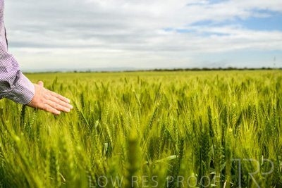 October 2022 / KANGAROO-FLAT-1016