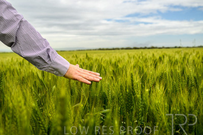 October 2022 / KANGAROO-FLAT-1019