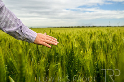 October 2022 / KANGAROO-FLAT-1024