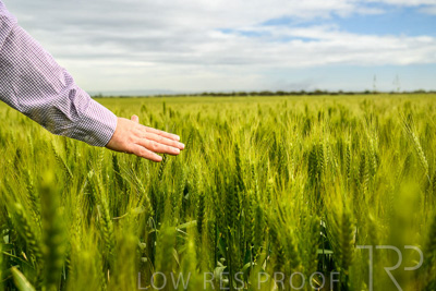 October 2022 / KANGAROO-FLAT-1025