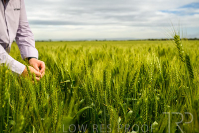 October 2022 / KANGAROO-FLAT-1028