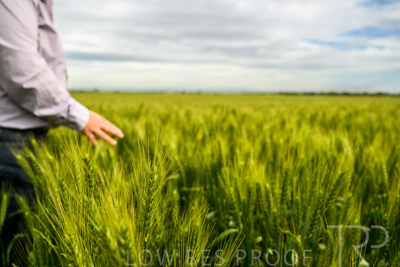 October 2022 / KANGAROO-FLAT-1031