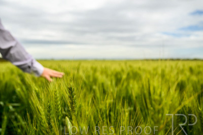 October 2022 / KANGAROO-FLAT-1032