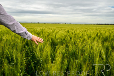 October 2022 / KANGAROO-FLAT-1035