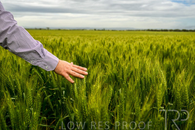 October 2022 / KANGAROO-FLAT-1039