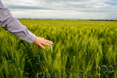 October 2022 / KANGAROO-FLAT-1040