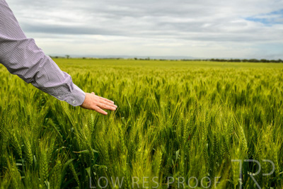 October 2022 / KANGAROO-FLAT-1041