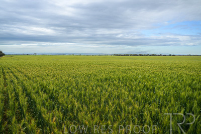 October 2022 / KANGAROO-FLAT-1048