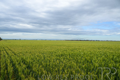 October 2022 / KANGAROO-FLAT-1049