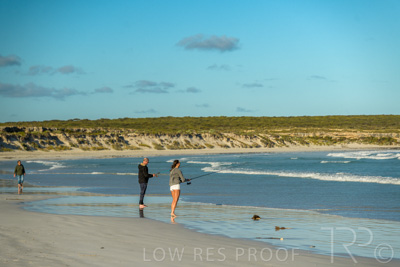 January 2023 / BEACH_230104_030_WebRes