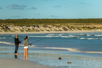 January 2023 / BEACH_230104_032_WebRes