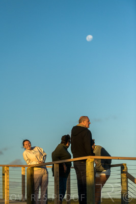 January 2023 / BEACH_230104_447_WebRes