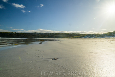 January 2023 / BEACH-SCENES_230104_010_WebRes