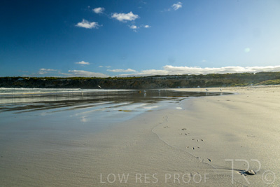 January 2023 / BEACH-SCENES_230104_012_WebRes