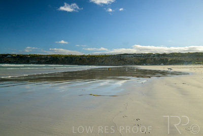 January 2023 / BEACH-SCENES_230104_014_WebRes