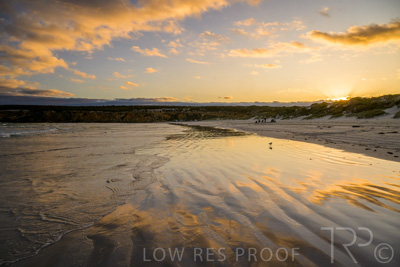 January 2023 / BEACH-SCENES_230104_028_WebRes