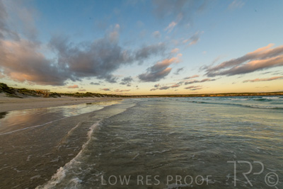 January 2023 / BEACH-SCENES_230104_045_WebRes