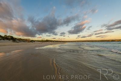 January 2023 / BEACH-SCENES_230104_055_WebRes