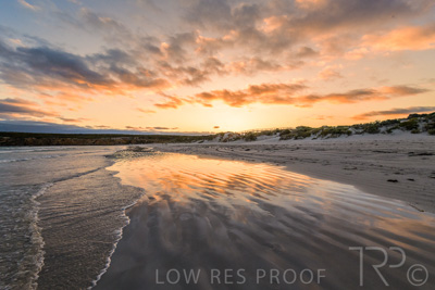 January 2023 / BEACH-SCENES_230104_057_WebRes