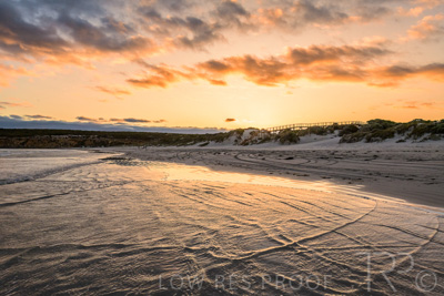 January 2023 / BEACH-SCENES_230104_060_WebRes