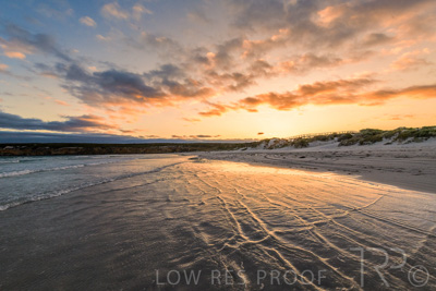 January 2023 / BEACH-SCENES_230104_061_WebRes