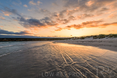 January 2023 / BEACH-SCENES_230104_062_WebRes